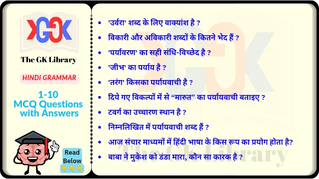 10 MCQ With Answer set Hindi Grammar
