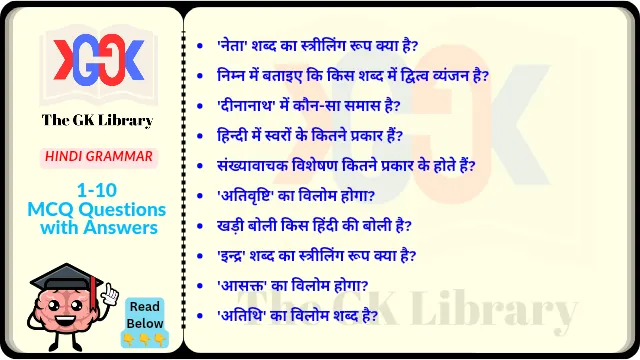 10 MCQ With Answer set Hindi Grammar