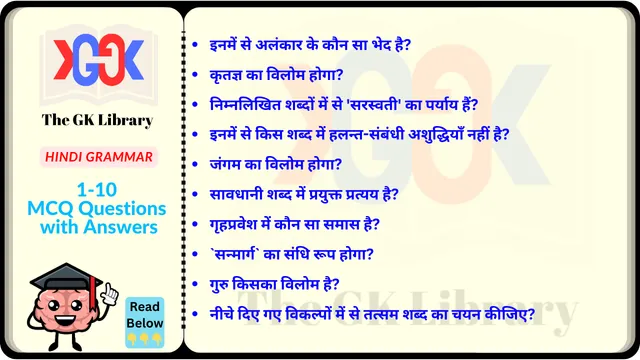 10 MCQ With Answer set Hindi Grammar