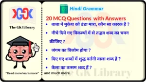 20 MCQ QnA Hindi Grammar