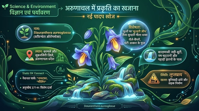 New Plant Species Stauranthera aureoglossa Arunachal Pradesh Biodiversity Endangered