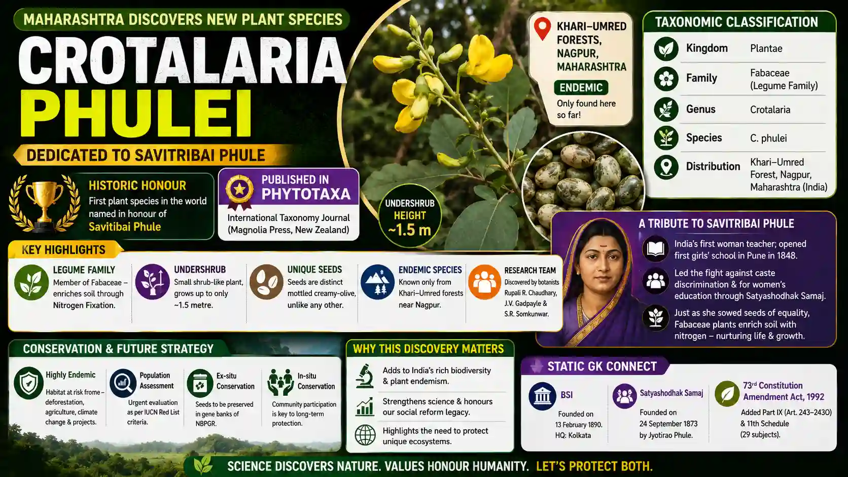 Crotalaria phulei New Plant Species Discovered Maharashtra Environment