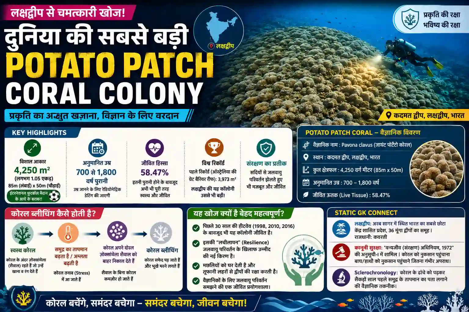 Lakshadweep Giant Potato Patch Coral Colony Discovery Kadmat Island Environment Current Affairs